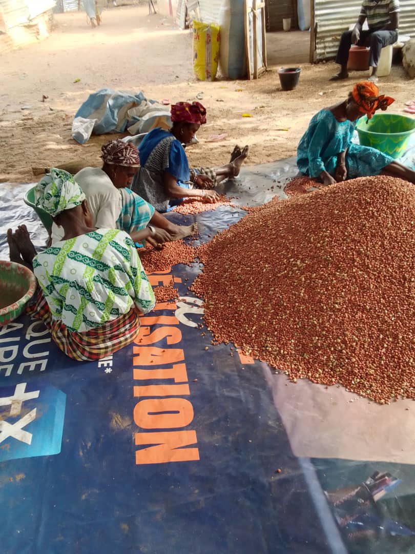 GGWFrontline's tweet photo. Cultivating the change we wish to see 🌍 one nut at a time 🥜 
.
#ggw #ggwfrontline #sustainablesnacking #sustainablefarming https://t.co/HPzBs3rkBT