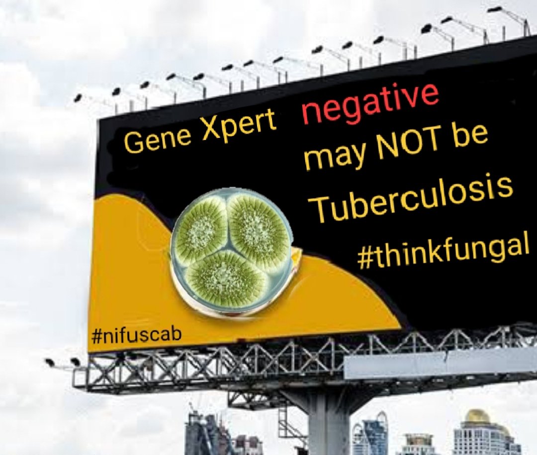 While tuberculosis is a highly prevalent disease especially in regions where risk factors around, it is crucial to keep in view diagnostic differentials to symptoms&signs that could have been presumed as TB, especially in Gene Xpert negative patients. #thinkfungal #nifuscab
