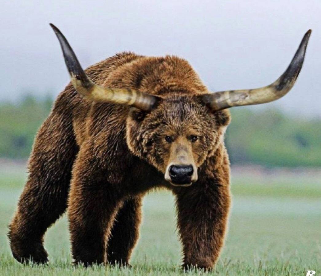 The #crypto market in 2024 be like: