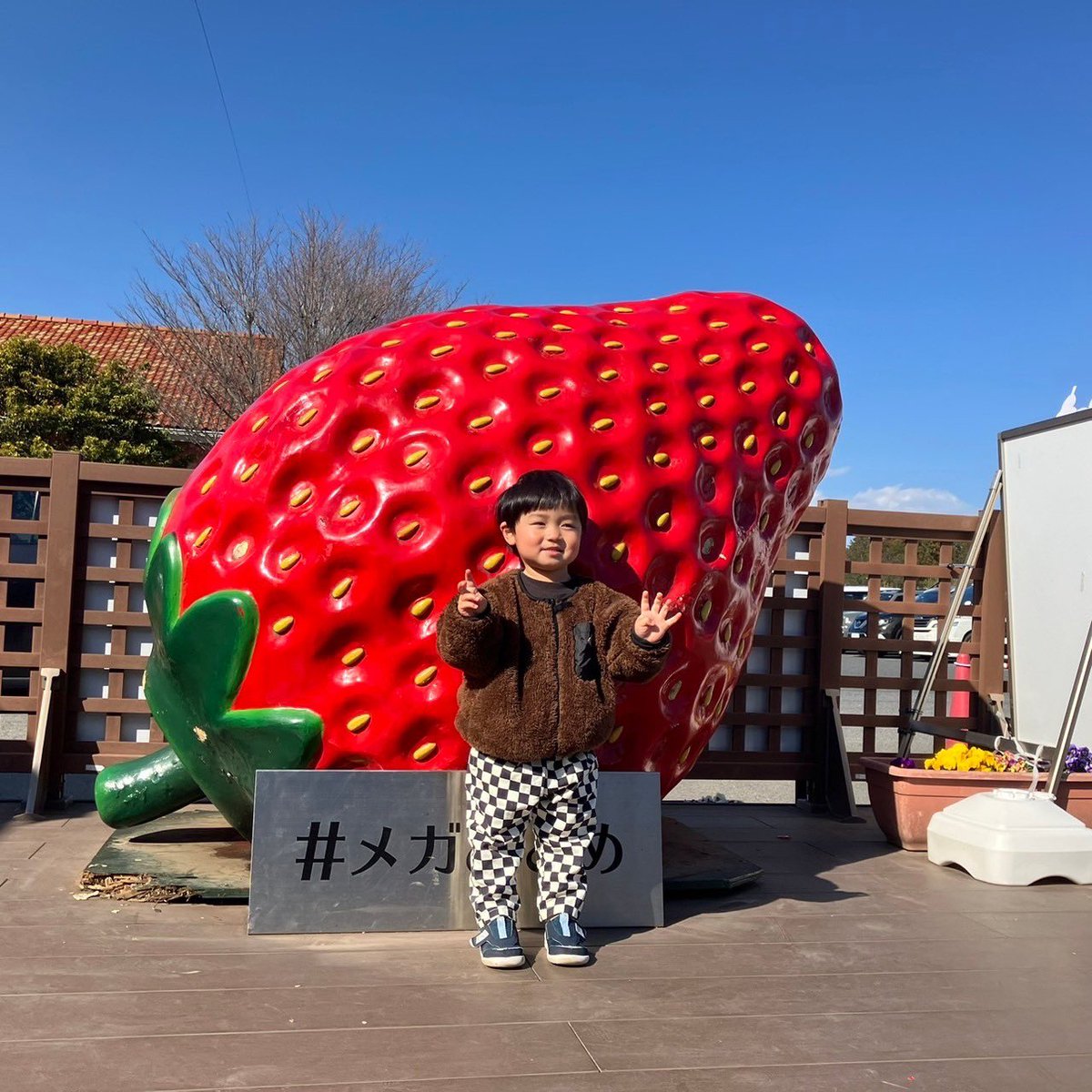 to_mo144's tweet photo. 2024.3.13
結婚4周年👏
昨年に続き、いちごの里へ🍓 https://t.co/TNk005rzi5