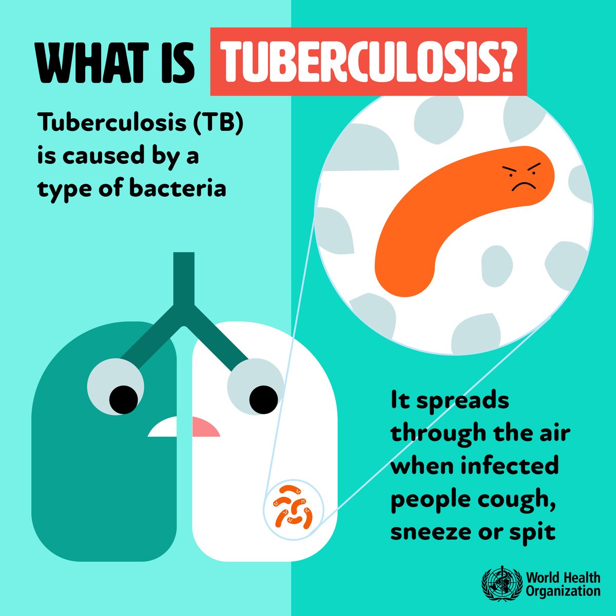 Tuberculosis is the leading cause of death among people with HIV and remains a significant threat in the African region 🌍. TB is preventable & curable. #WeCanEndTB #EndingDiseaseInAfrica