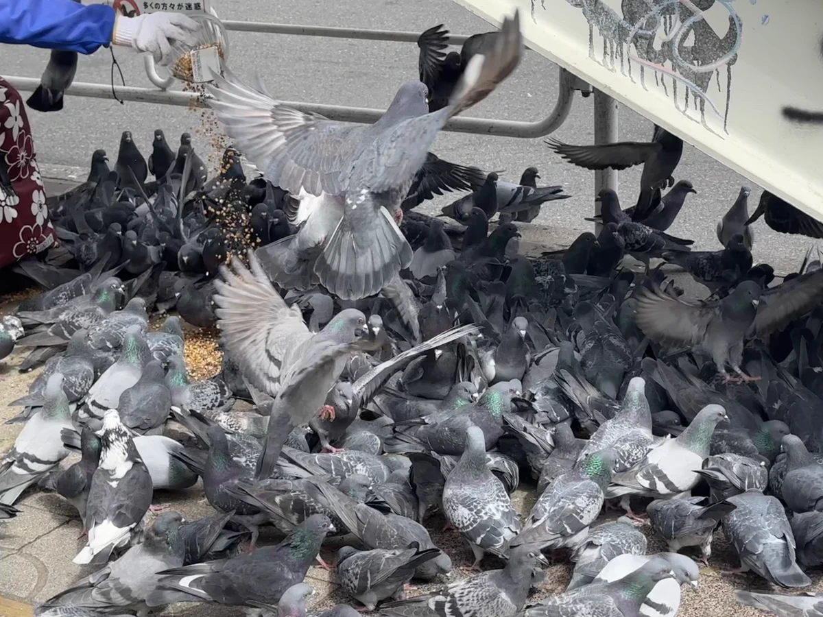 鉄の鳩 X पर にゃがりこ: 