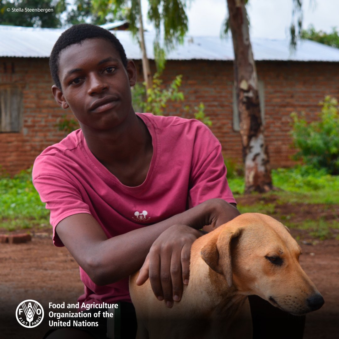 🐕🐾Rabies is extremely deadly, with a 9⃣9⃣% mortality rate after symptoms appear. Supported by @FAO, @WOAH and @WHO, he @UARForum assists countries to develop rabies control strategies and coordinate the elimination of #rabies in the world by 2030. 📽️ bit.ly/3rY64jy