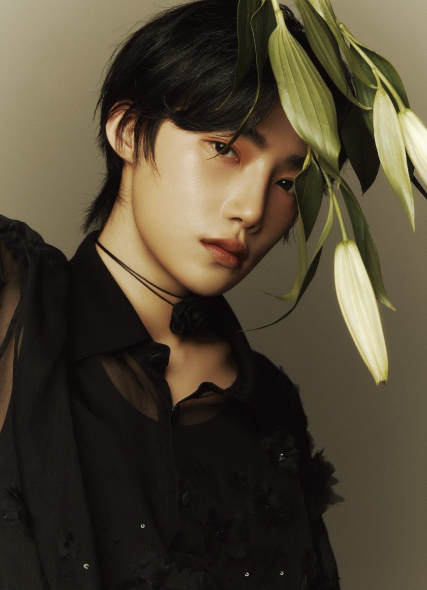 다채 tweet media