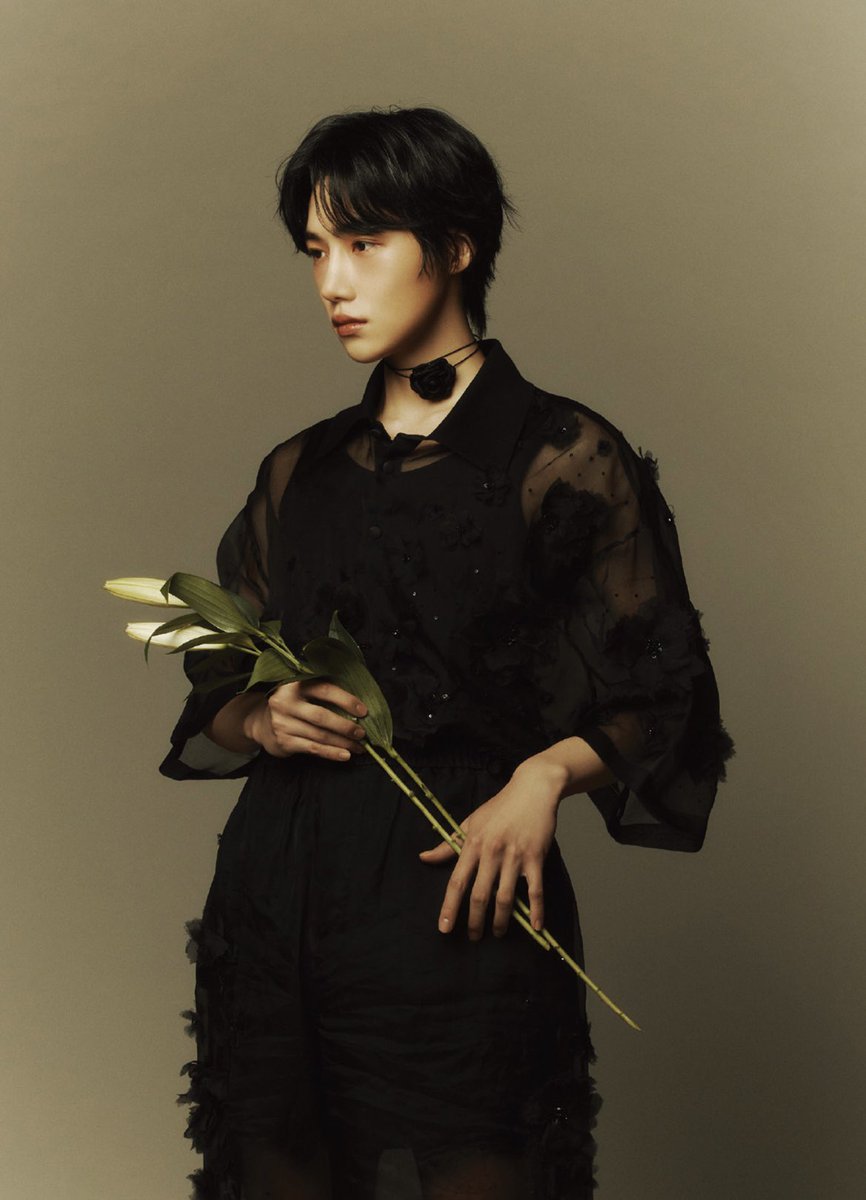 다채 tweet media