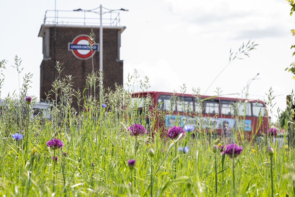 'We need to reduce emissions from transport whilst also adapting our transport infrastructure to more extreme weather conditions. 'Fortunately, our member city regions are responding to the crisis,' writes @MrJasonPrince in @TransportTimes. transporttimes.co.uk/news.php/Clima…