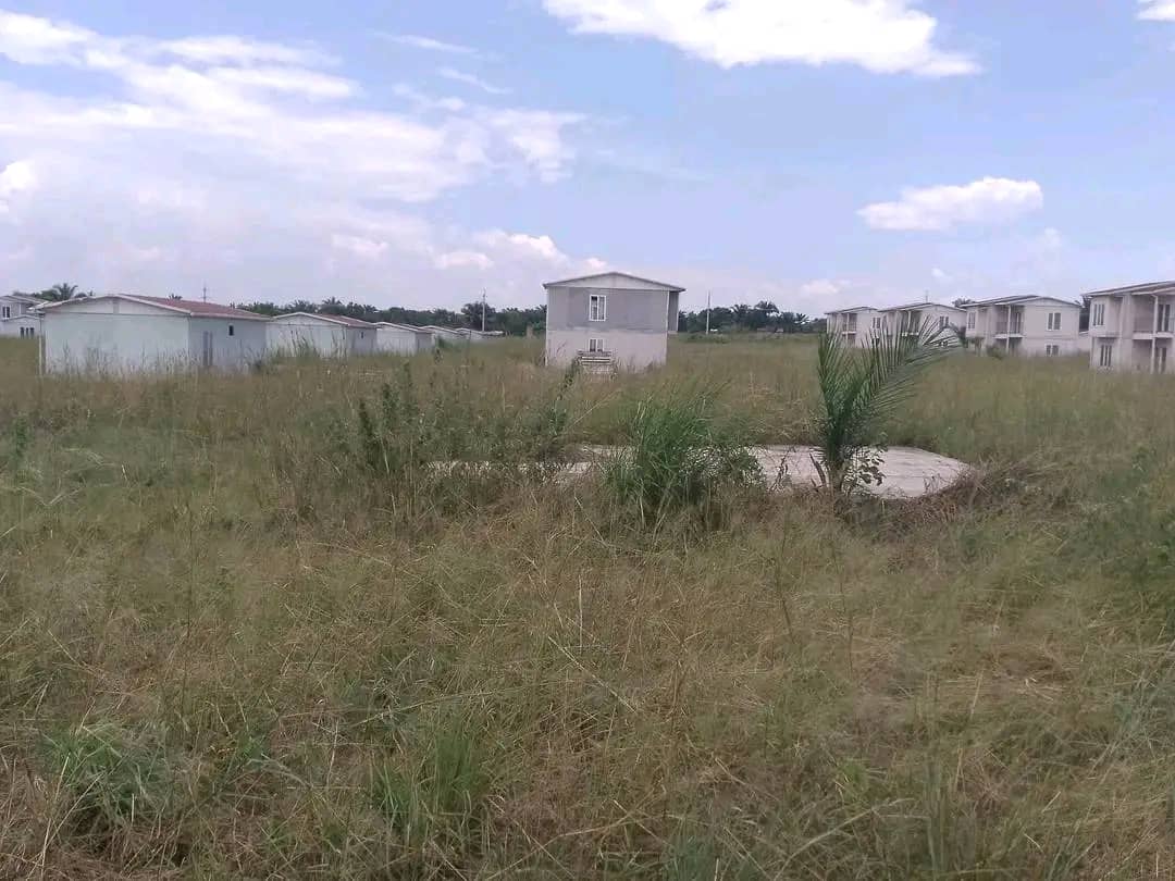 YVESABDALLAH2's tweet image. #Retro #100Jours 
Au Kasaï Oriental,  voici l'état actuel des maisons préfabriquées abandonnées dans un site redevenu une brousse  (PMKO), à Mbujimayi. Et la République assiste sans capacité de dire un mot