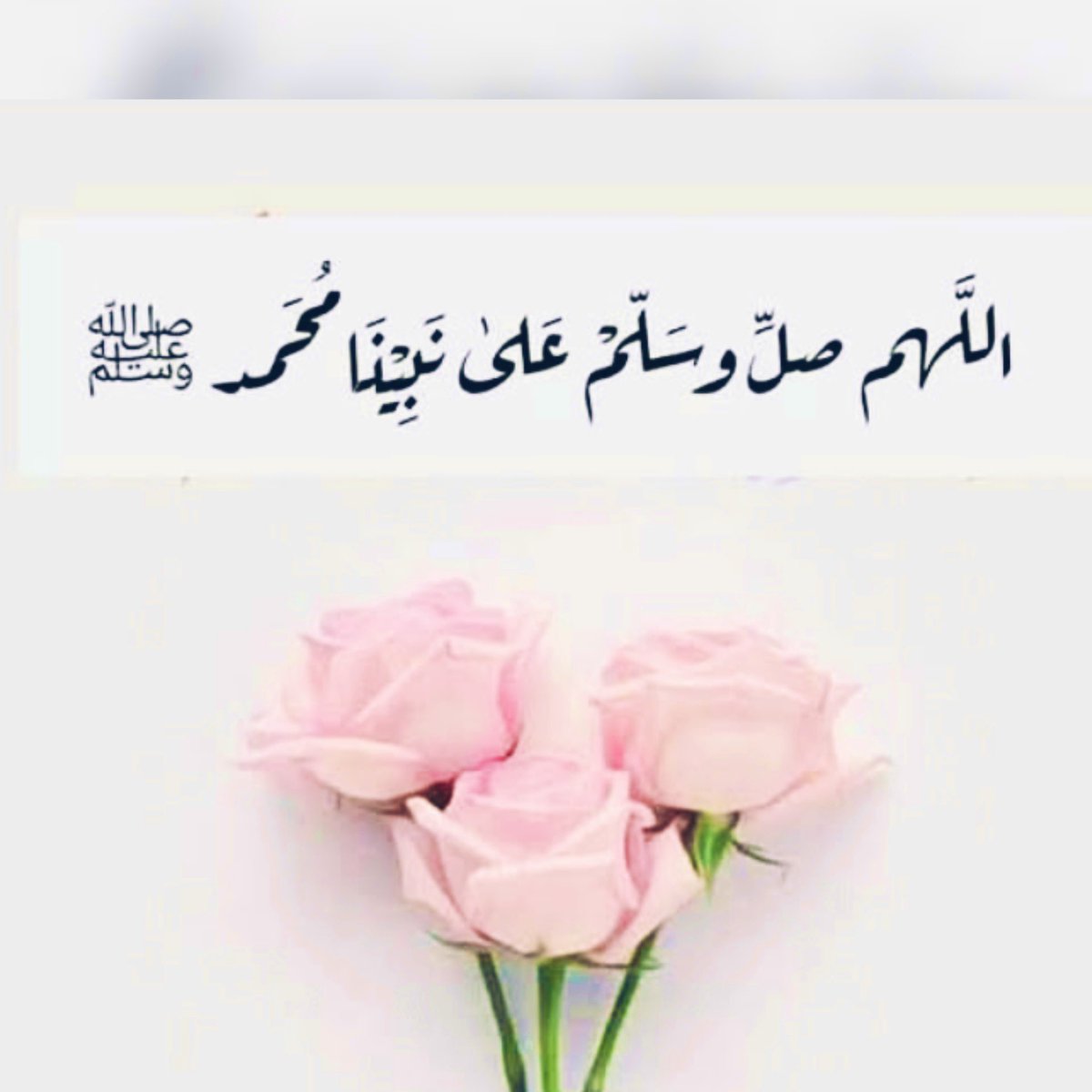 nadr39790's tweet photo. اللهم صلي وسلم وبارك على نبينا محمد صلى الله عليه وسلم 

#بسام_الفيفي #تعليق_الدراسة #حلا_شيحة_ع_المسرح #رمضان_9_الدعاء_المستجاب #الاردن_الان #امطار_الكويت 
 #افطار_صايم_رمضان_بجمعيه_احسان9 https://t.co/NCLLZR5AJx