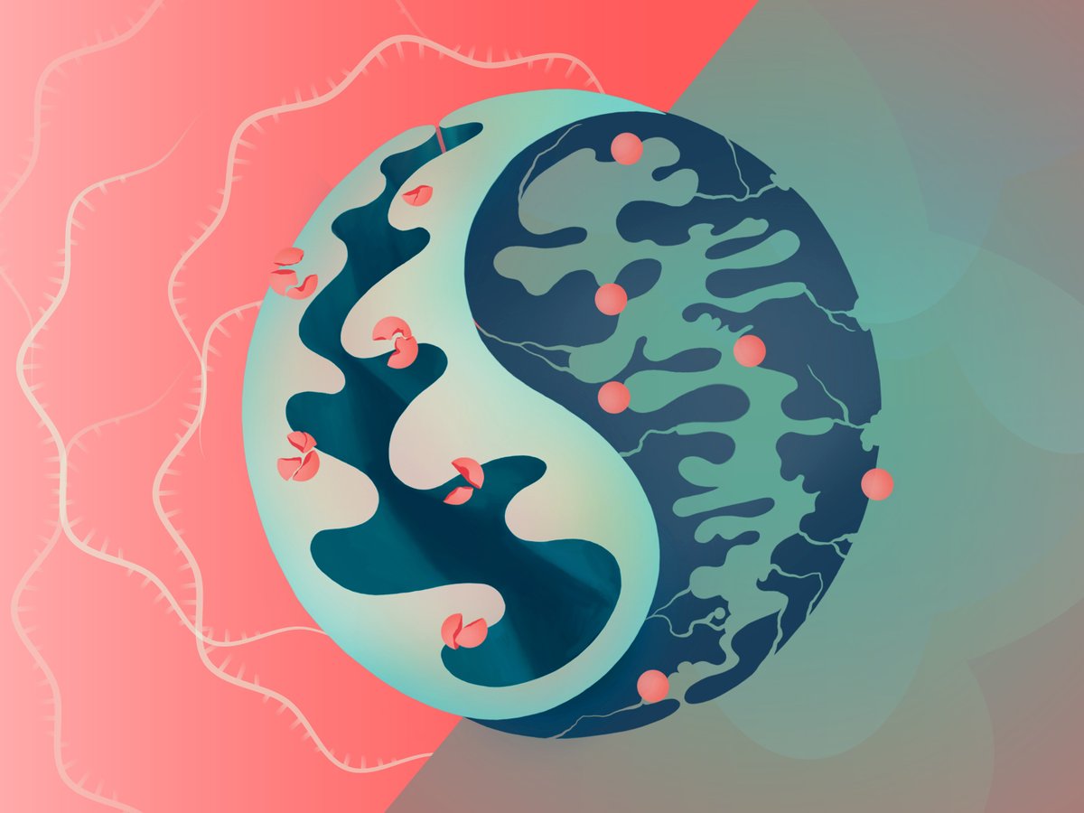 MPI for Biological Intelligence tweet media