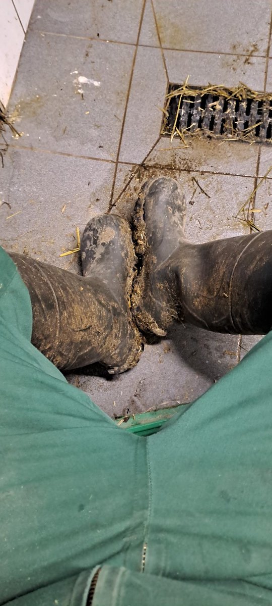 Ja ja und kein knecht im stall😅