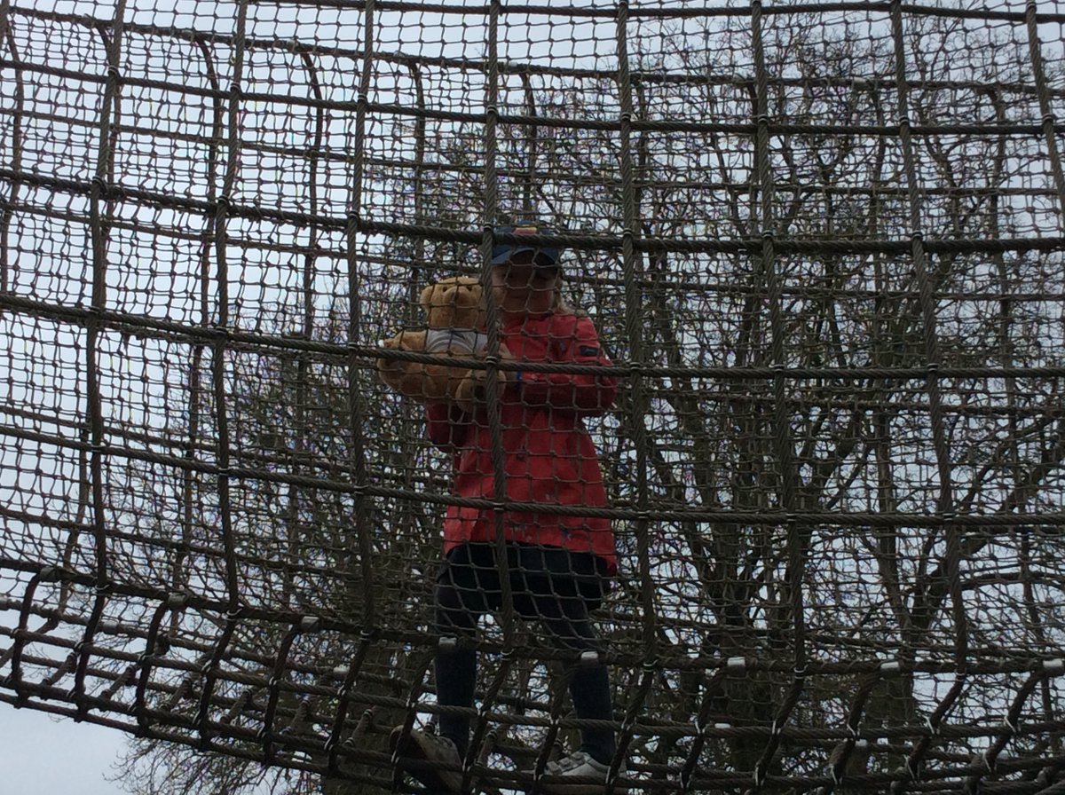 Year 2 had an amazing time <a href="/Marwellwildlife/">Marwell Wildlife</a> but there was only one bear ... Dexter! <a href="/iqmaward/">IQM</a>