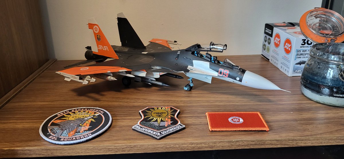 1/48 SU-30SM Sol 1 "Mister X" #acecombat