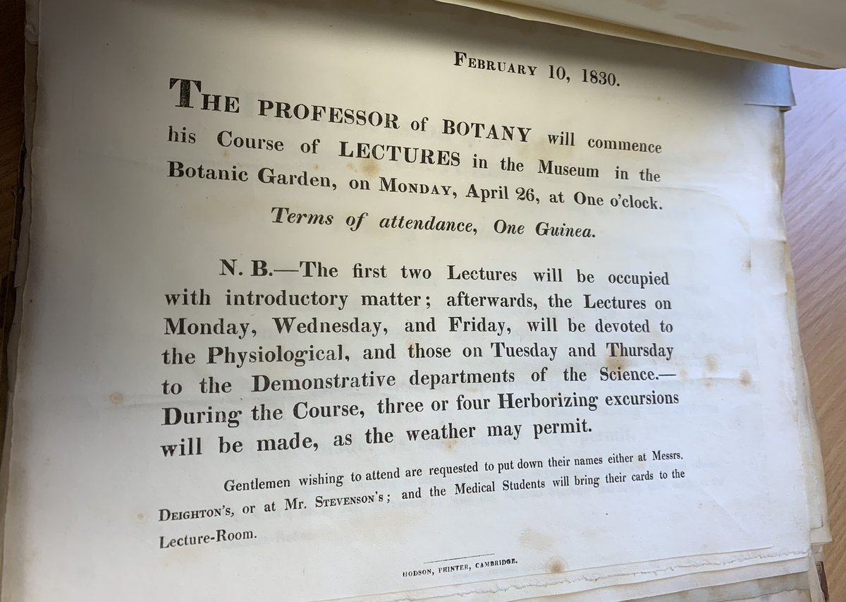 Grateful to @EdwinRose3 for suggesting I look at a particular box marked ‘Plant Sciences Library Miscellanea’ -pictured here ‘poison’ labels and one of many ads for JS Henslow’s botanical lectures (MS Add.10205) @theUL