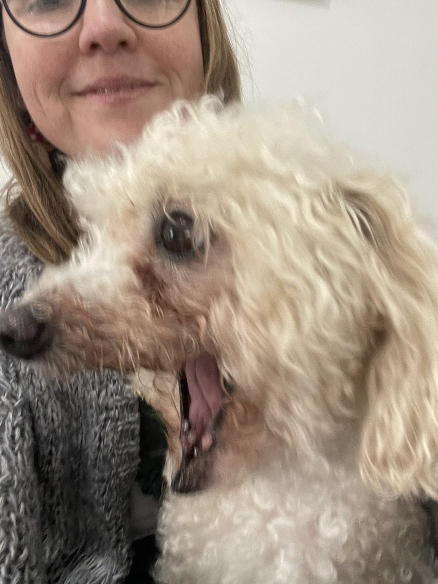 Feeling like my old self (One OT and a dog) this morning as I embark on my First Contact Practitioner training … thanks for the dog lend <a href="/WintDave/">Dave Wint</a>