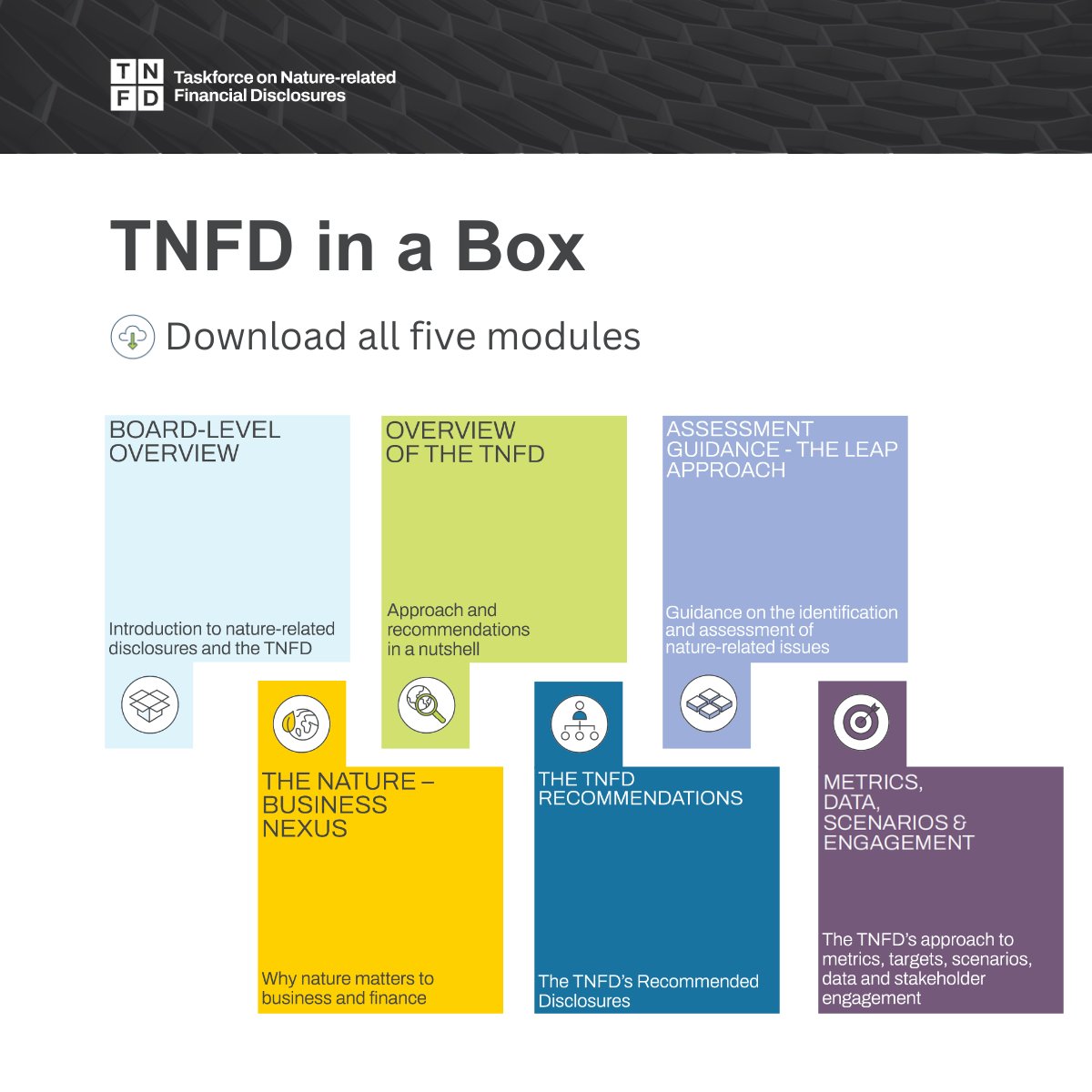 🔲TNFD in a Box All five modules are available to download. This capacity building tool helps companies and financial institutions get started with the assessment and reporting of their material nature-related issues. 🔽ow.ly/M4LF50QWo11 🔽 #TNFD #SustainableFinance
