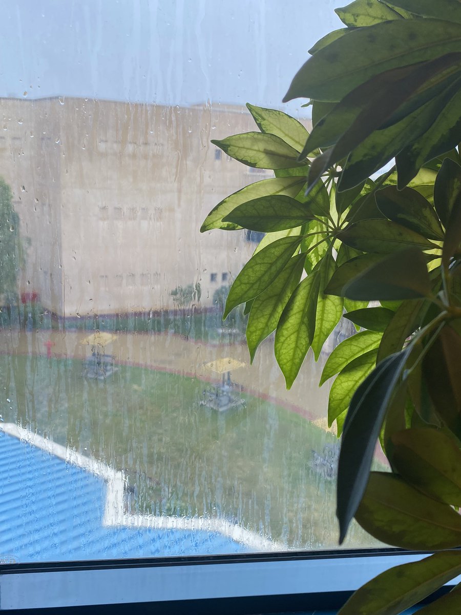 اللهم كمًا أمطرت علينا من خيرك، أمطر على قبور موتانا بفيض كرمك ورحمتك، واجعلهم آمنين مستبشرين إلى يوم يبعثون .