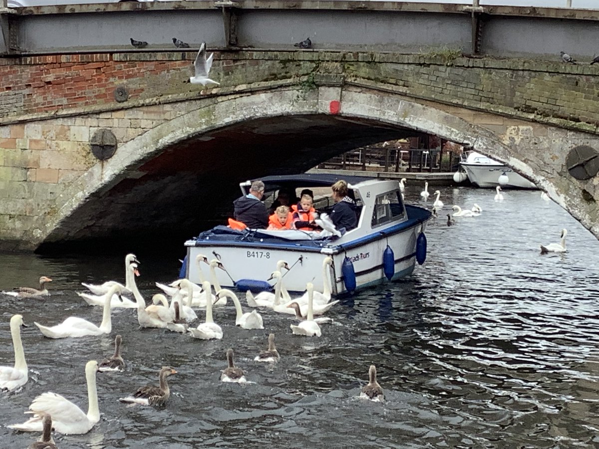 BureCottage tweet media