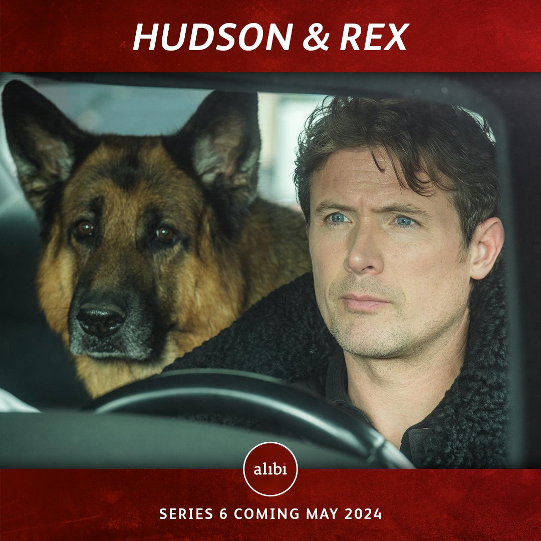 🚨 HUDSON & REX SERIES 6 🚨 We know how much you've been missing Charlie and Rex so we wanted to throw you a bone! The new series of #HudsonAndRex, coming May 2024 on Alibi.