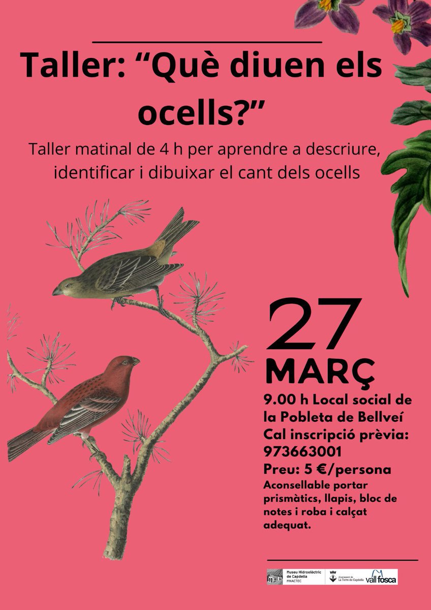 Per si voleu aprendre a identificar, descriure i dibuixar el cant dels ocells. Dimecres 27 de març a la Pobleta de Bellveí (La Vall Fosca): hi sou benvinguts! <a href="/pallarsdigital/">Pallars Digital</a> <a href="/visitpallars/">Turisme Pallars Sobirà</a> <a href="/meteopallars/">Ramon Baylina -Alt Pirineu del Pallars Sobirà</a> @TurismeJussa <a href="/casaleonardo/">Casa rural Casa Leonardo Hotel Eco Boutique</a> <a href="/parcscat/">Parcs de Catalunya</a> <a href="/BiolegsCAT/">Col·legi de Biòlegs de Catalunya</a> @SHNB_BSHNB <a href="/aralleida/">Ara Lleida</a>