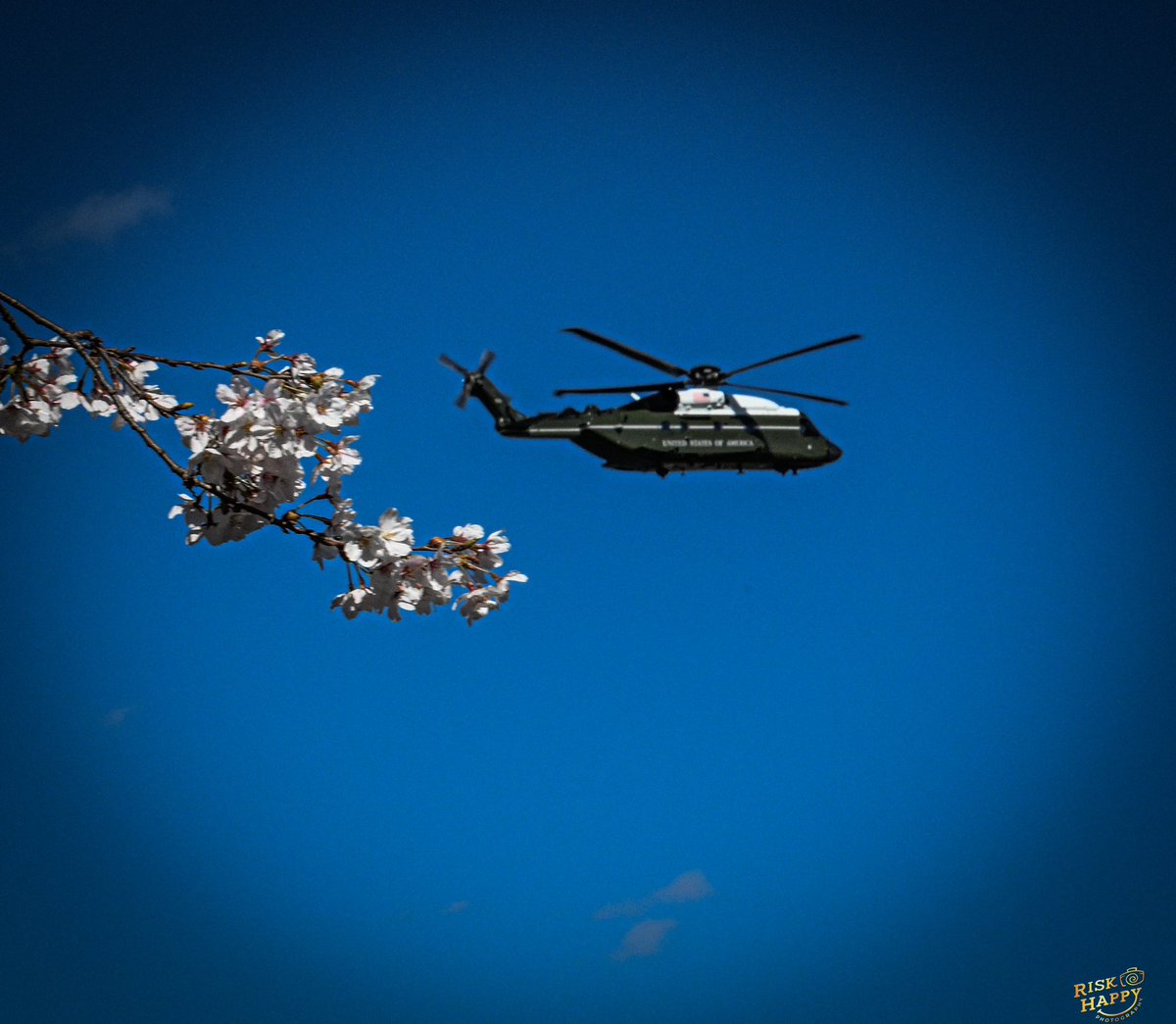 Not sure the call sign of president is not on board @USMC flying by the tidal basin with cherry blossoms below