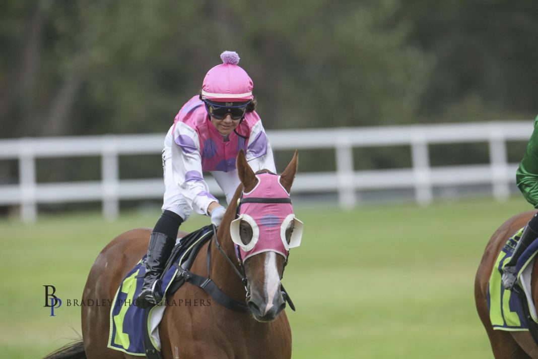 “I’ve always taken the road less travelled, and I like to check every box, cross every t, and dot every i.' New Zealand-born apprentice Ella Drew might be 34, but she is living out her dream of working with horses. At Muswellbrook on Friday, Drew teamed up with her boss, Jan