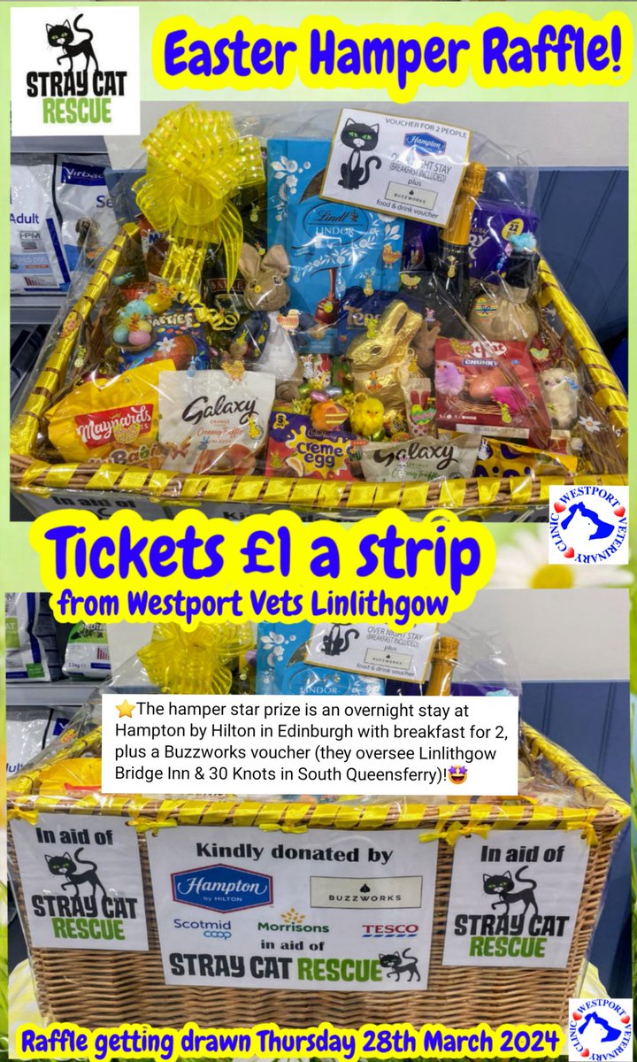 ⭐️Stray Cat Rescue's EASTER HAMPER RAFFLE⭐️ now at Westport Vets Linlithgow! @StrayCatRescue @StrayCatRescueFife #bekind #workingtogether #linlithgow #southqueensferry #edinburgh #westportvets #westportveterinaryclinic #supportindependentvets