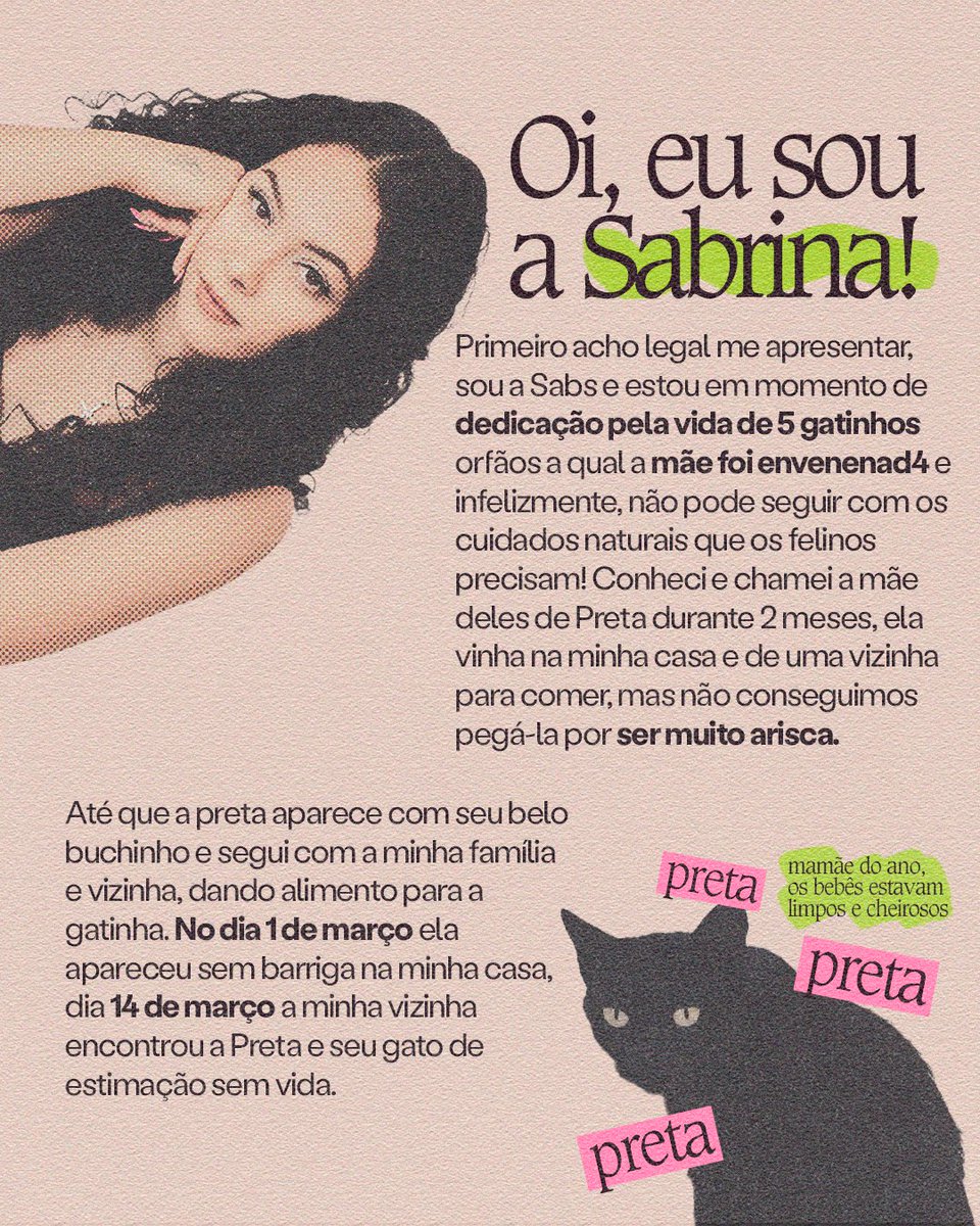 sabmorenoo's tweet photo. Me ajude salvar a vida de quatro gatos órfaos.

Estou dando leite, usando tapetes higiênicos, medicação (porque o pet milk endureceu o cocozinho deles)

Mais informações nas Fotos https://t.co/M6RUv3m5oV