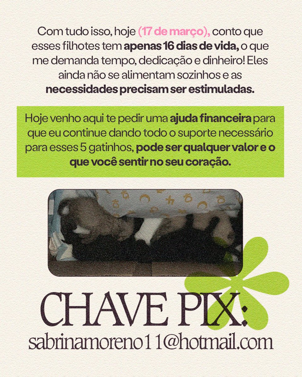 sabmorenoo's tweet photo. Me ajude salvar a vida de quatro gatos órfaos.

Estou dando leite, usando tapetes higiênicos, medicação (porque o pet milk endureceu o cocozinho deles)

Mais informações nas Fotos https://t.co/M6RUv3m5oV