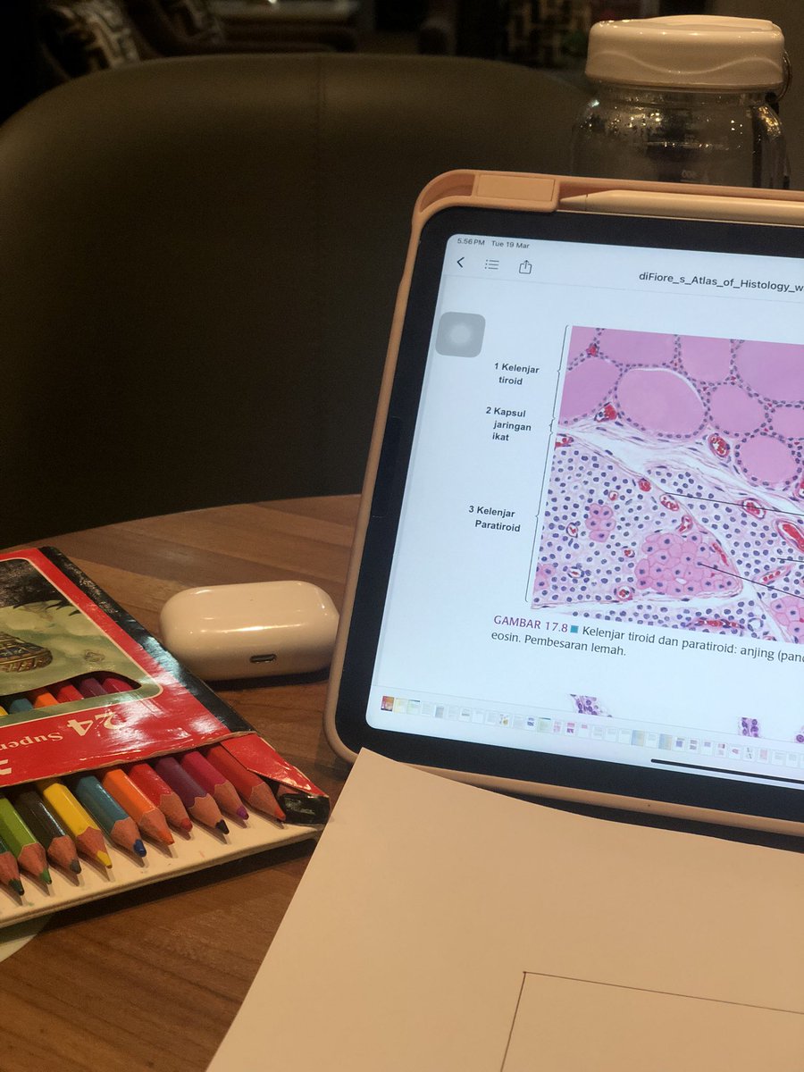 lagi termotivasi untuk rajin 🙏🏻 (karena udah mepet deadline lebih tepatnya)