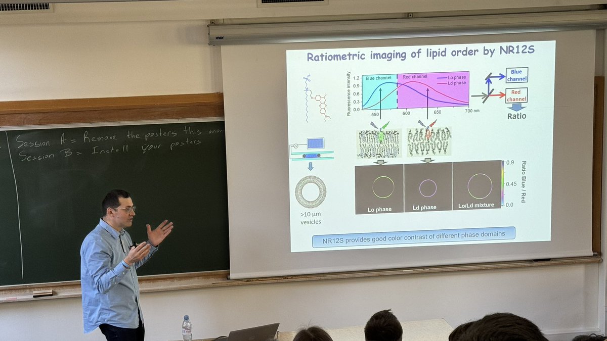 Zeineb Ayed (@zeinebayed2) on Twitter photo Great talk by <a href="/aklymchenko/">Andrey Klymchenko 🇺🇦</a> about Fluorescent dyes and Nanoparticles as bright probes for biosensing and bioimaging at Ecole de physique des houches #fluorescenceleshouches Great talk by <a href="/aklymchenko/">Andrey Klymchenko 🇺🇦</a> about Fluorescent dyes and Nanoparticles as bright probes for biosensing and bioimaging at Ecole de physique des houches #fluorescenceleshouches