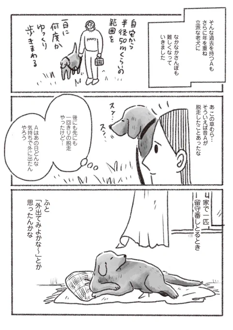 老犬との思い出絵日記です🐶☀️(3/3) 