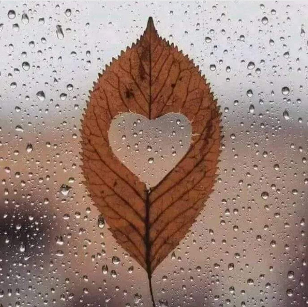 ويبقى في القلب دومًا مكانٌ خاص
لا تُضيء عتمته ولا تُزهِر وروده 
إلا بأشخاصٍ الحديث معهم
يُشبه رذاذ المطر لا تُحب انقطاعه
اللهم صيبا نافعا....مساكم ورد