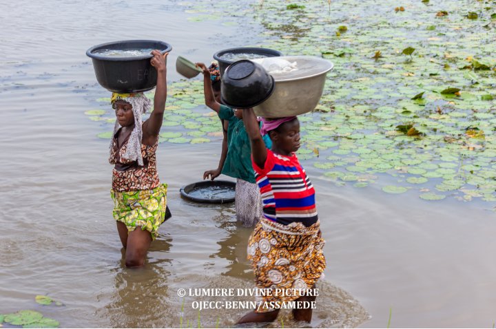 Vulnérabilité des Femmes à dans les arrondissements de DEKIN et de Hêtin-Houedomey (commune de Dangbo): 
Un Défi pour l’Accès à l’Eau et à l’Assainissement🚫
  
Consultez notre page Facebook pour lecture de la publication.
Lien en commentaire 👇🏾