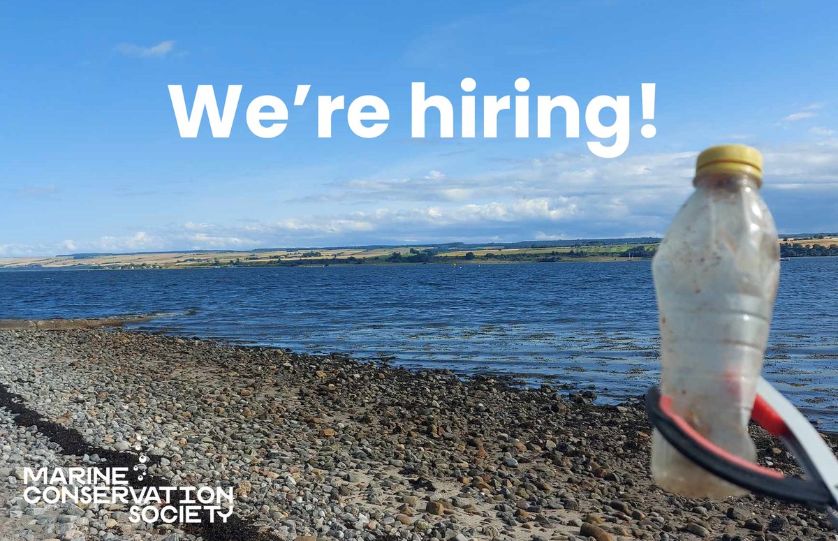 There's still time to apply for our Dornoch Restoration Officer role, a public engagement position based in the Dornoch Firth focused on engaging communities & working with our DEEP partners 🦪🌊 apply today! mcsuk.org/work-for-us/cu…