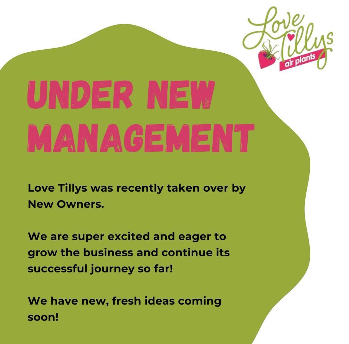 LoveTillys's tweet photo. https://t.co/49YW5mTZZT