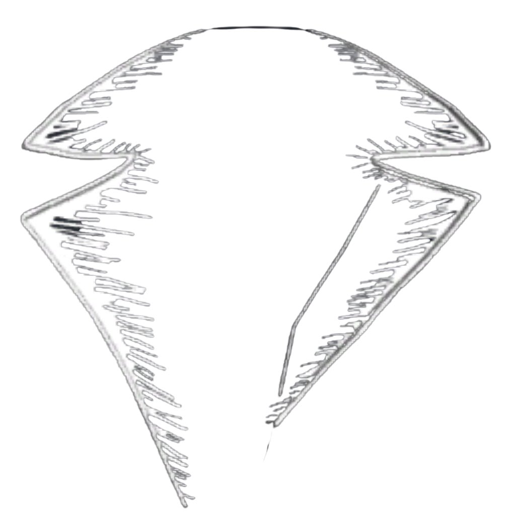 Aaron Orr (@aaronorr1984) on Twitter photo 