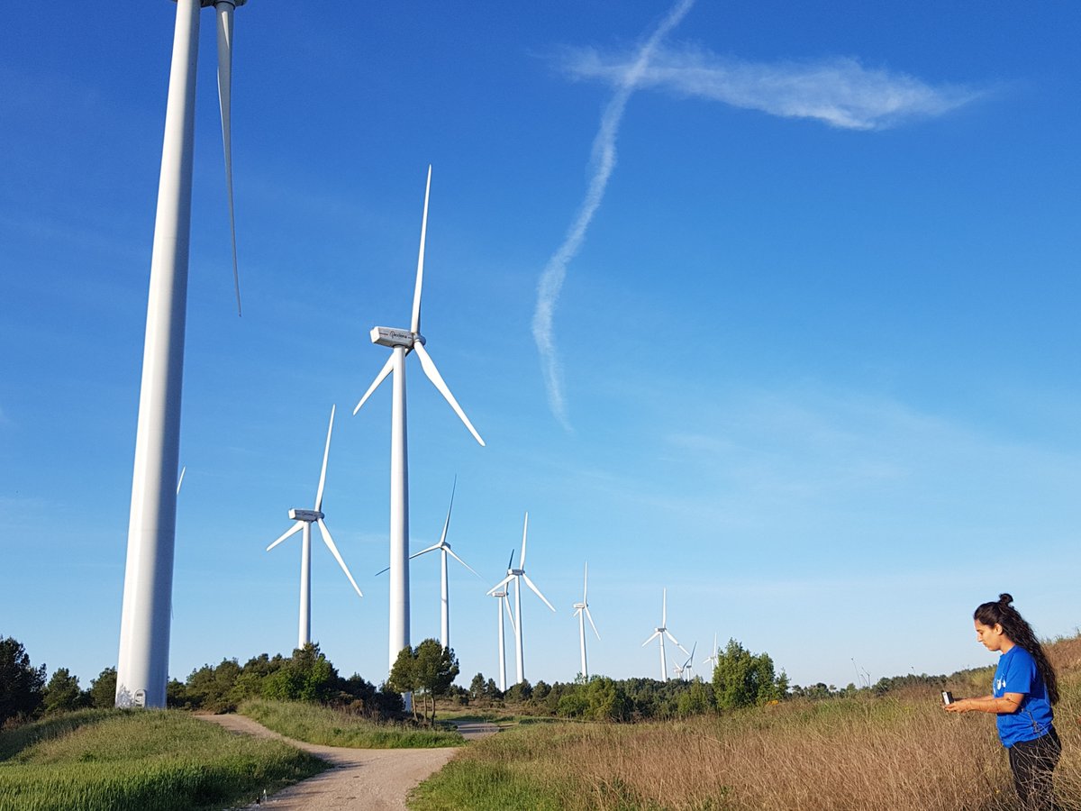 Bats and energy transition: One of the biggests challenges we face is transitioning to #renewableenergies, but without impacting our #wildlife and landscapes! 🌪️

Bats are especially impacted by wind development and all research on the topic is relevant! 🦇🤔