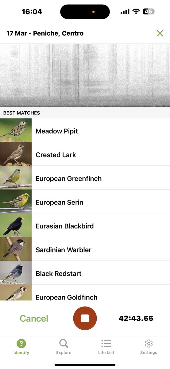 Aves-Portugues tweet media