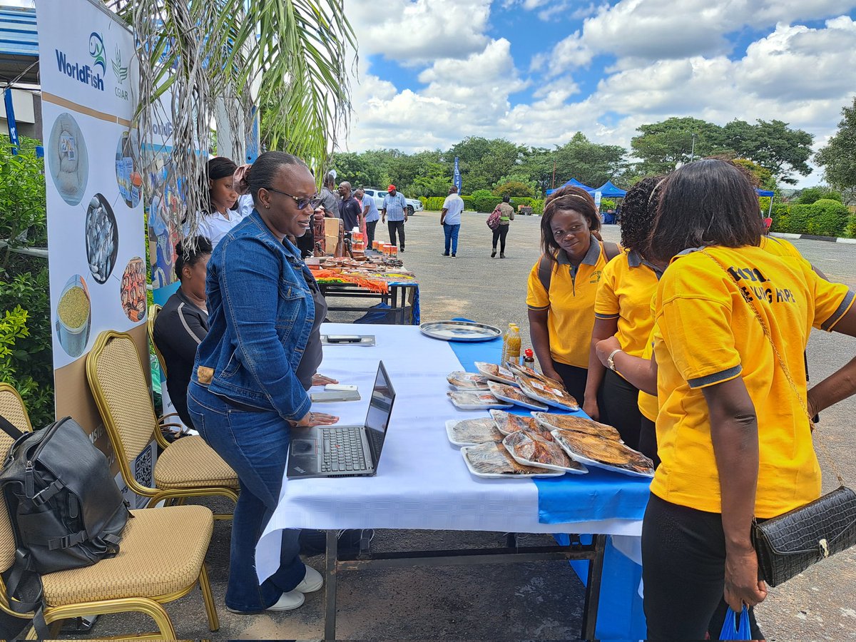 Happening now!!! @WorldFishCenter is participating at an MSME capacity building training to help link SMEs under the @SADC_News #PROFISHBLUE nutrition component to various market actors in #Zambia @LMuzungaire