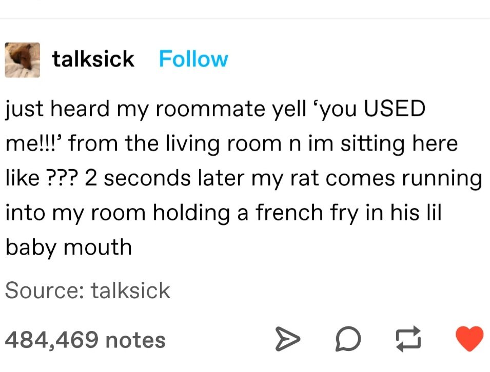 venuslovesrats's tweet image. 😭😭