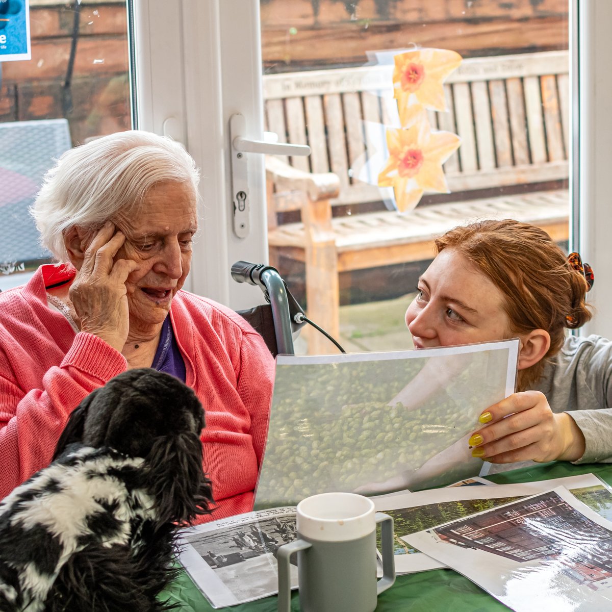 It was fantastic going into @Barchester_care's Beaufort Grange and Meadowcare in Redland to deliver these 👇 last week. Find out more about the project via a #longread on @HelloBrigstow's website 👉 linktr.ee/alivegardening