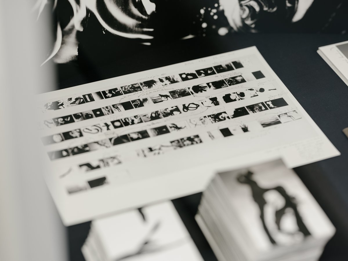 ¿Plan para #SemanaSanta? 📸‘NEW YORK’, la nueva exposición de David Jiménez en <a href="/Ivorypress/">Ivorypress</a> 

📍#Ivorypress Aviador Zorita 48, 28020, Madrid
Horario de miércoles a viernes de 10:00h. a 14:00h. y de 15:00h. – 19:00h.

▶efti.es/noticias/new-y…

#profesorefti del #masterdeautorefti