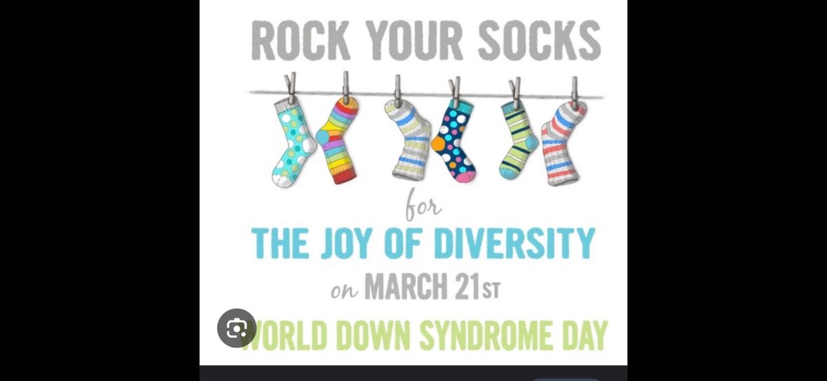 Ferndale Woods (@ferndalewoods) on Twitter photo 