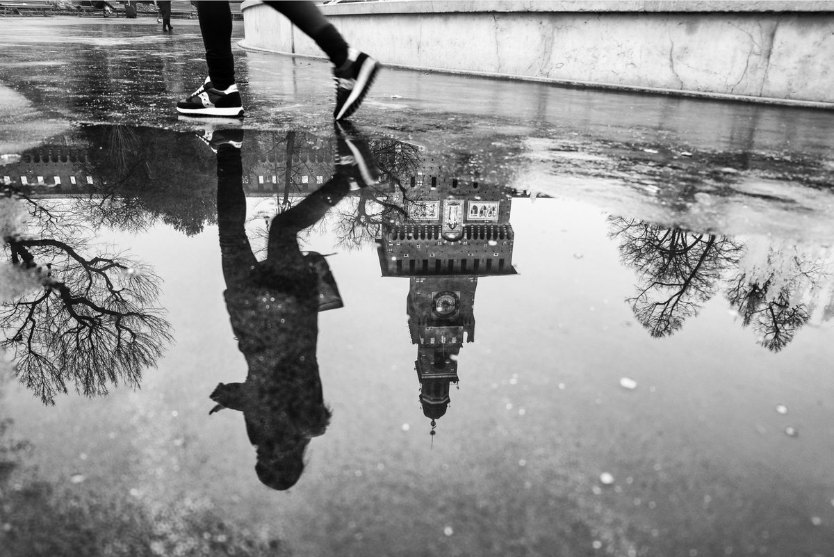 Corina Obertas tweet media