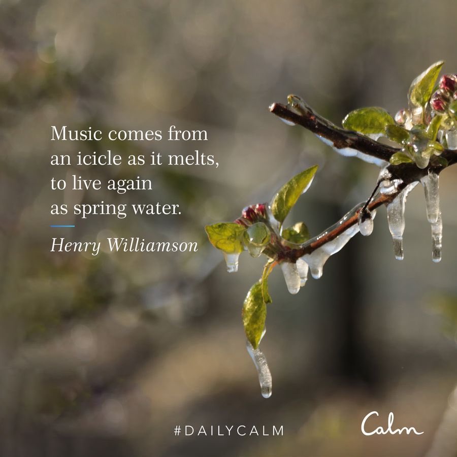 Jason Book tweet media