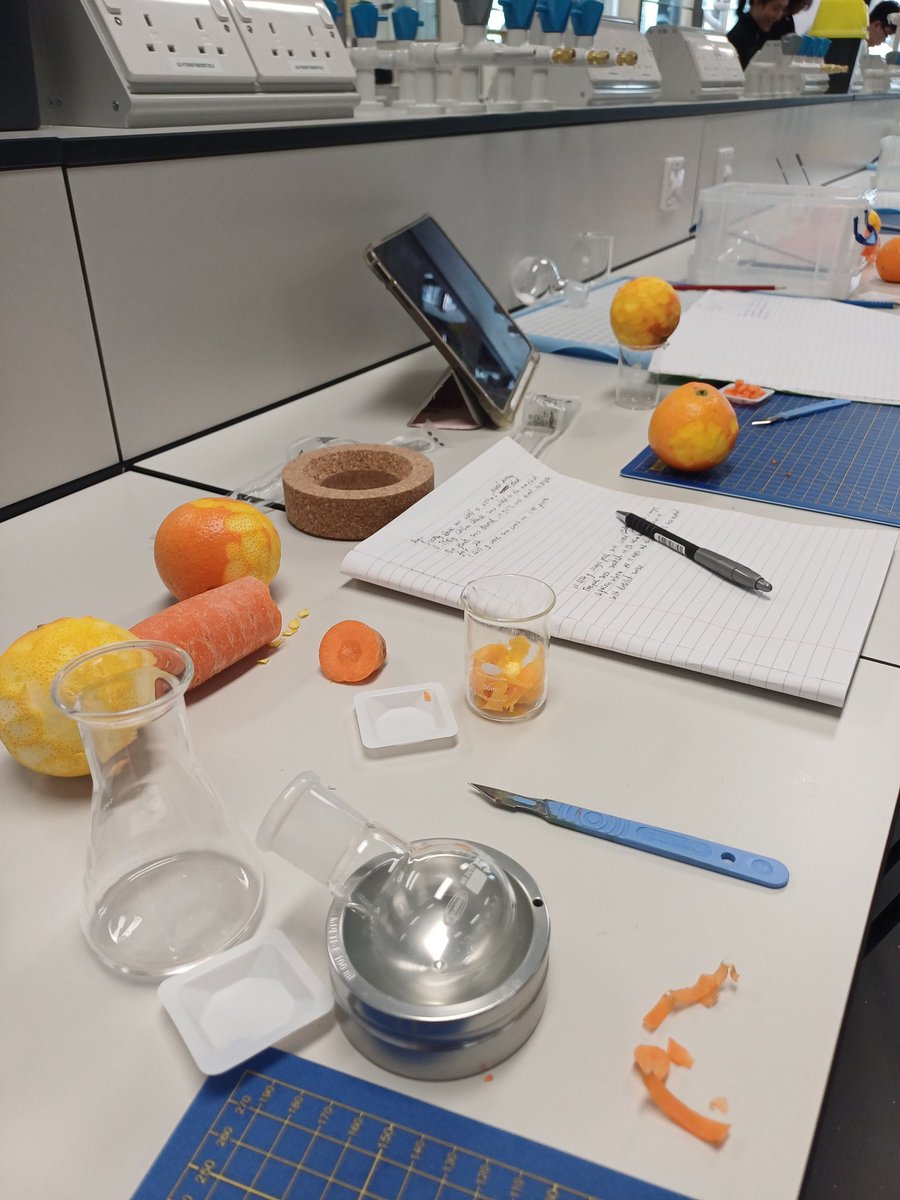 d_castagnolo's tweet photo. Our MSc Chemical Sustainability students @UCLChemistry @UCLEast today are using orange peels 🍊 and carrot roots 🥕 as biocatalysts for hydrolysis reactions. #Sustainability #greenchemistry #biomass #findamaster #chemistry https://t.co/TQPdR0XKp3