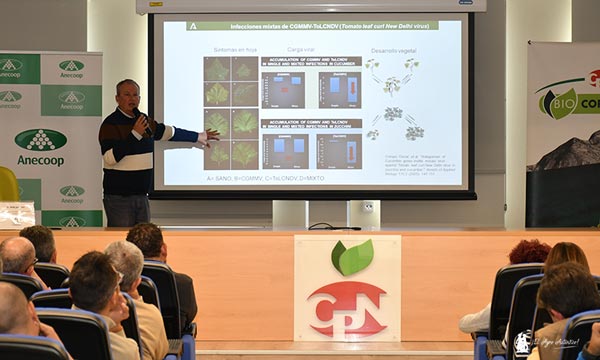 🆙🆙Anecoop y su socio Coprohníjar forman frente al rugoso y al CGMMV🌱
agroautentico.com/2024/03/anecoo…

<a href="/Bouquet_es/">Anecoop Bouquet</a> 
<a href="/coprohnijar/">COPROHNIJAR</a> 

⚠️Tobamovirus emergentes en tomate y pimiento

#agricultura #agro