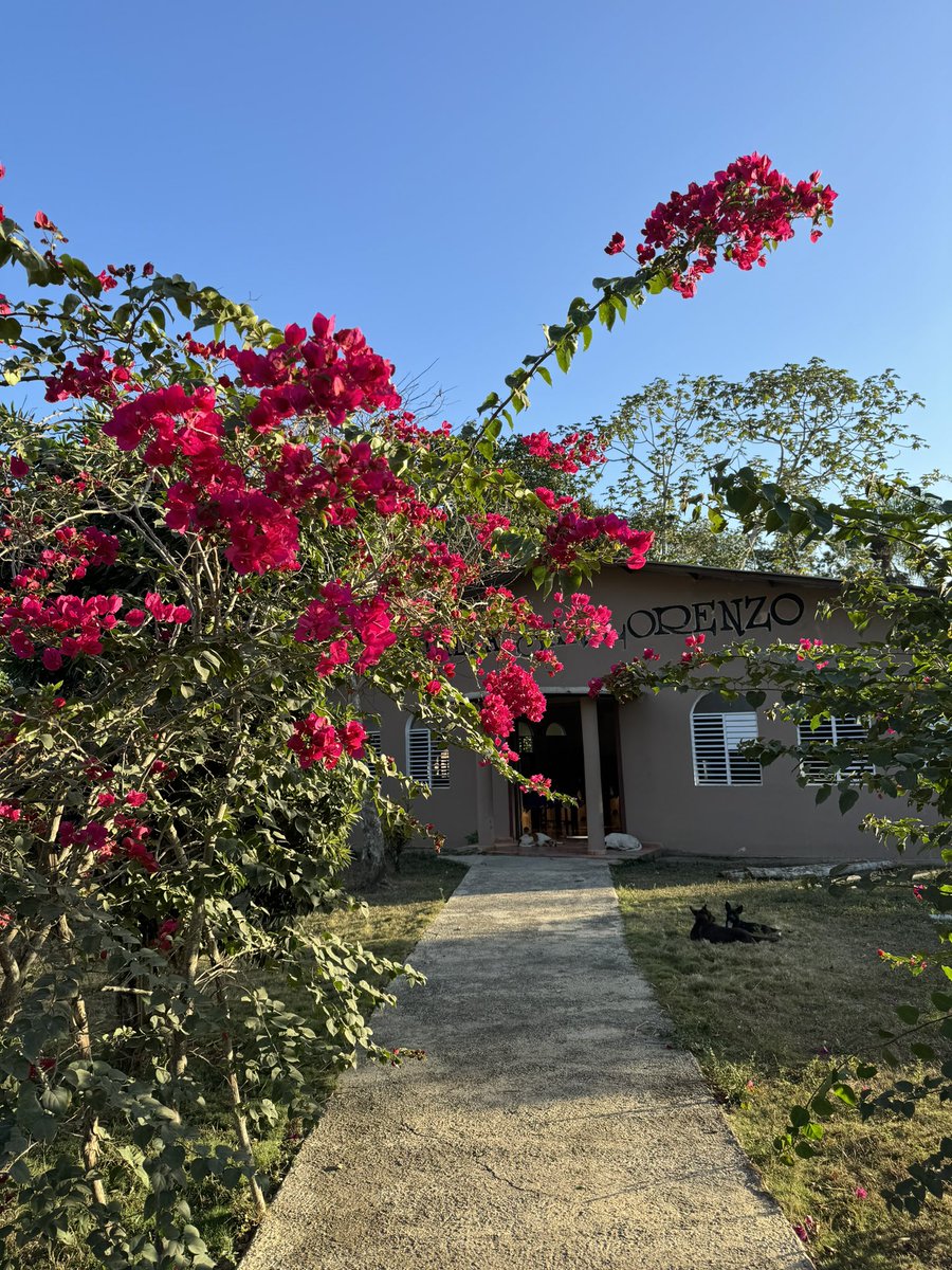 TavaVeronica's tweet photo. Mi hogar! 🥹❤️💋🥥🍍🙌🏾 https://t.co/a0opbNCkmh