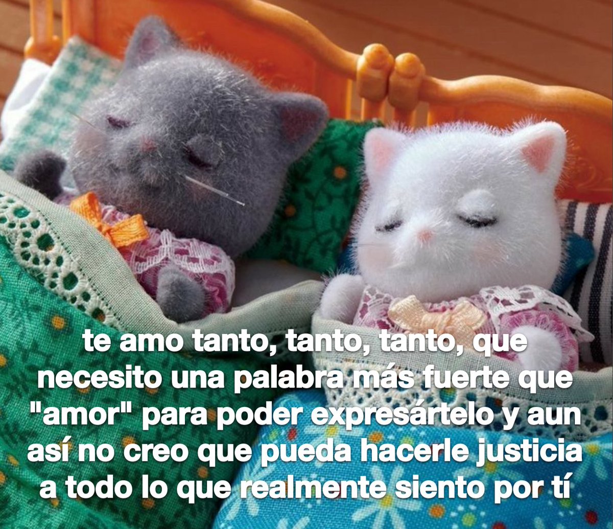 conoloracigarro's tweet photo. https://t.co/qVJuWdVCQq