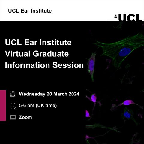 📣 There is still time to register for our virtual #graduate information session tomorrow. Whether you are a practising #audiologist, a science graduate or a medical professional, we have the right #audiology course for you. Book now 👉 buff.ly/3wy9Ge6